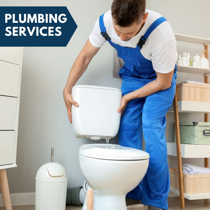 Plumbing Company in La Prairie, IL